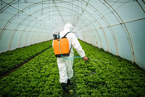Best Local Pest Control Services  in Elgin, SC