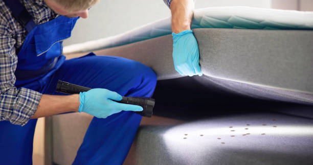 Best Cockroach Control Services  in Elgin, SC