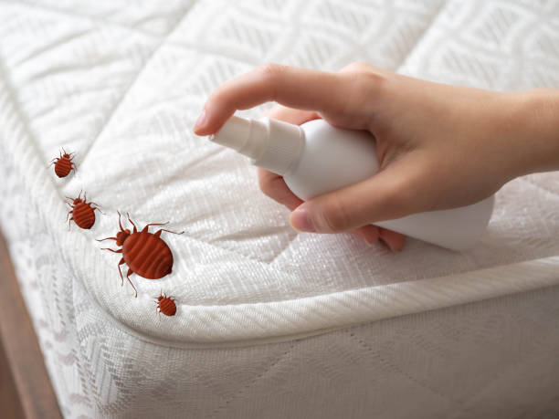 Best Residential Pest Control  in Elgin, SC